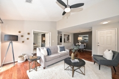 Family/Living Room